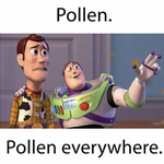 Seasonal Allergies Pollen meme